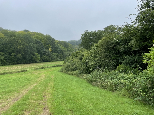 Le chemin de la Colombière a disparu sous la végétation à droite, il passe désormais dans ce pré sur 150 mètres.
