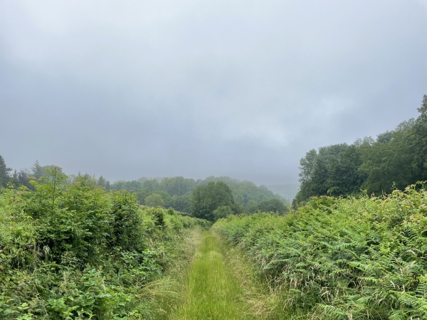 Montée vers le Mesnil.