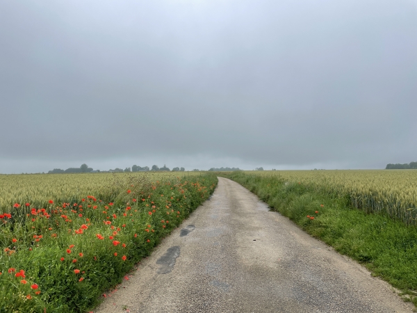 Après la traversée du Mesnil, nous suivons la route du Mesnil-Perruel sur 2 km jusqu'au Fossé.
