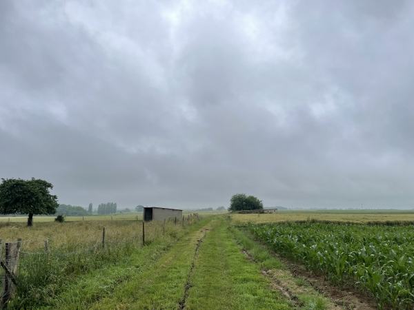 Nous avons quitté la route pour suivre le tracé de l'embranchement Vascoeuil à Rouen par Auzouville, de la ligne Charleval - Serqueux. Tracé qui n'est jamais devenu une voie ferrée semble-t-il.