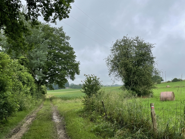 Nous retrouvons le GR25, au nord d'Auzouville.