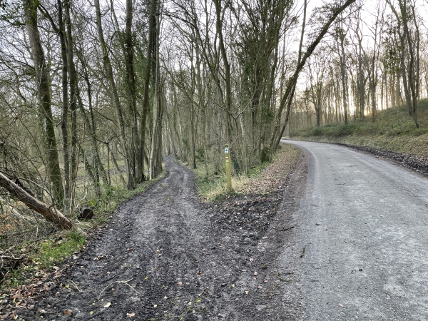 Nous retrouvons les chemins à mi-pente de la Côte de La Haye.