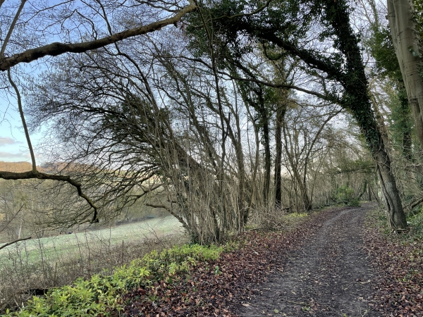 Le Chemin des Randonneurs avance en balcon au-dessus de la vallée de l'Andelle. Même en hiver, il est très agréable.