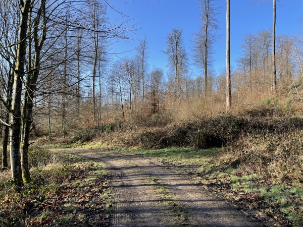 Nous quittons le large chemin de la Mare à la Biche, pour suivre à droite le sentier vers le Val Saint-Pierre.
