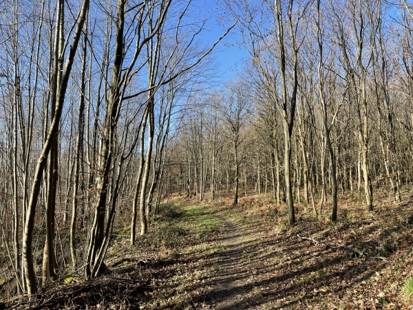 Ce chemin nous permet d'éviter de redescendre trop vite sur la route du Val Saint-Pierre.
