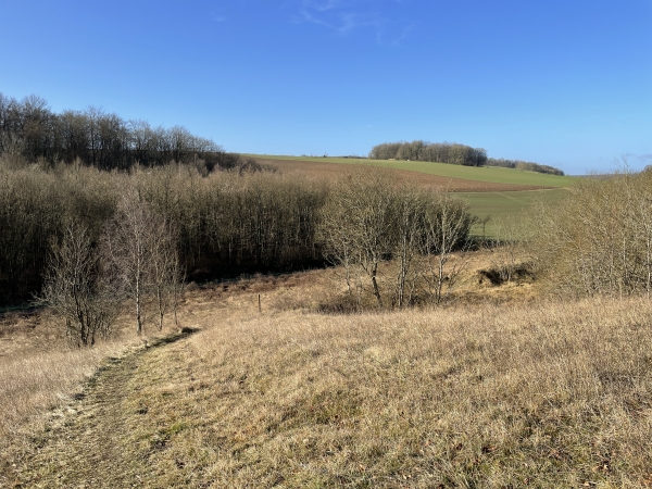 Nous quittons la forêt et descendons vers le Val Saint-Pierre.