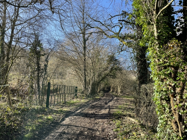 Nous suivons le chemin de la Butte aux Anglais.