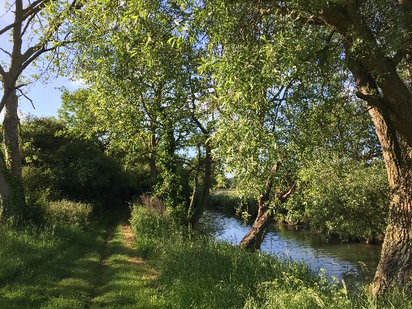 Nous ne sommes pas les seuls à apprécier la douceur de la vallée de la Saâne.