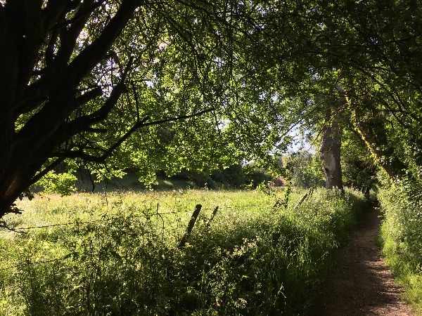 Nous nous éloignons maintenant un peu de la Saâne en approchant du Fond de Longueil.