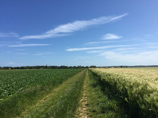Nous entrons dans Quiberville par la rue des Vergers.