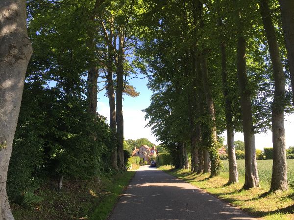 Il y a plusieurs chemins dans Quiberville, nous suivons ici celui de la Roseraie.