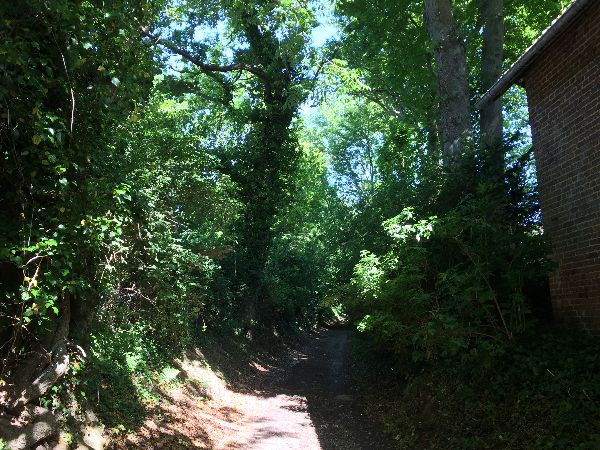 Nous fermons la boucle, avec ces paysages typiques des bords de mer entre St-Valery-en-Caux et Dieppe.