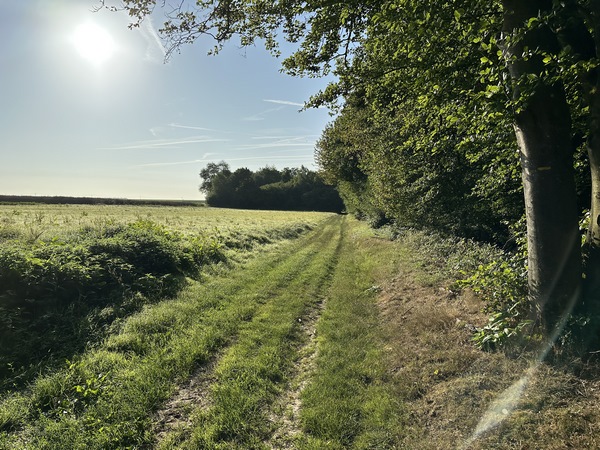 Le Chemin de la Retraite devient un vrai chemin après les dernières maisons. Il avance en lisière de bois jusqu'à Intremare.