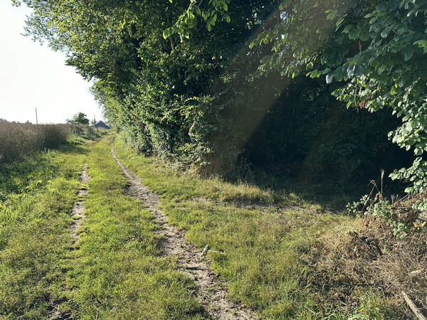 Peu avant Intremare, nous tournons ici à droite dans le bois des Fontaines.