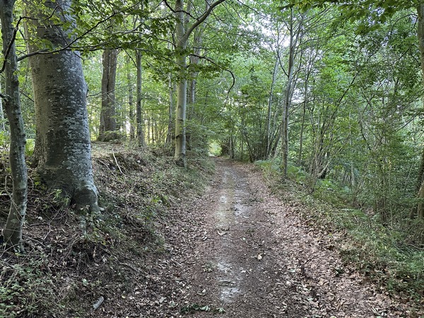 La plaine du Neubourg fait souvent fuir les randonneurs en raison des paysages plats et monotones de plaines agricoles. Nous ne sommes pas loin du Neubourg, mais nous sommes ici des paysages vallonnés, d'une grande variété et souvent boisés.