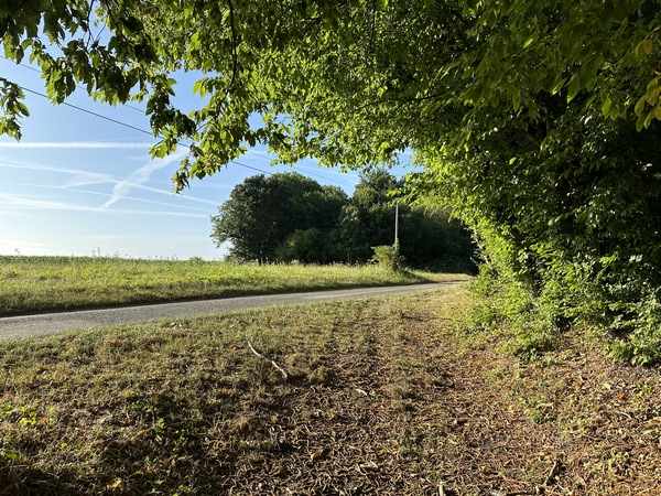 Nous sortons du bois pour rejoindre la route des Landes.