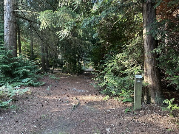 L'arboretum est jalonné de panneaux explicatifs.