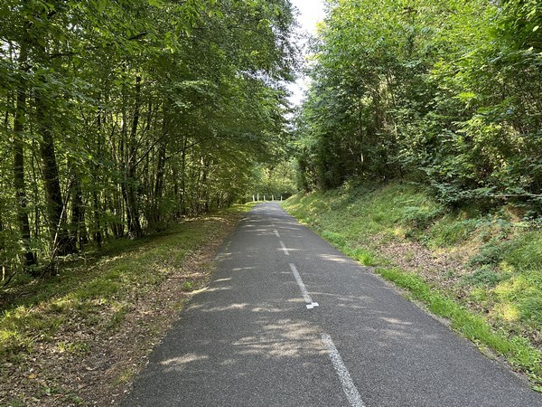 La D113 est une petite route déserte qui descend dans les bois jusqu'au ruisseau de la Vallée.