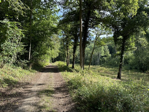 Ce chemin sépare les communes de Feuguerolles et de Cannapville.