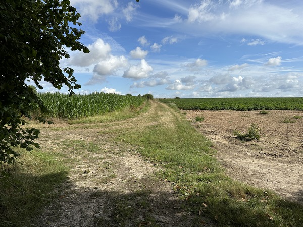 Nous fermons la boucle en retrouvant le Chemin de la Retraite, nous allons le suivre à gauche pour rejoindre le centre de Venon.