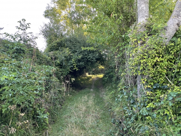 Nous montons sur le coteau nord de l'Yères.