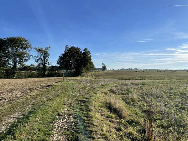 Au niveau des vestiges du bois de la Vallée Tournée, nous tournons à droite pour traverser la plaine d'Etocquigny.
