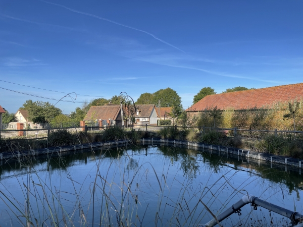 Hameau d'Etocquigny et sa mare.