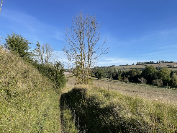 Nous montons, en pente douce, sur le coteau sud de l'Yères. Regard arrière vers le St-Martin-le-Gaillard.