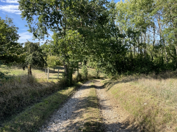 Après le bois, nous descendons le Mont du Coudray en direction de Canehan.