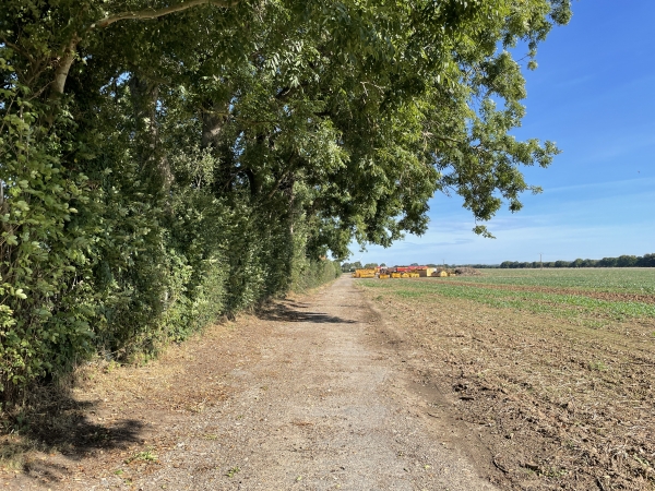 Un chemin longe le village étendu de Canehan. Il est revêtu jusqu'à la ferme.