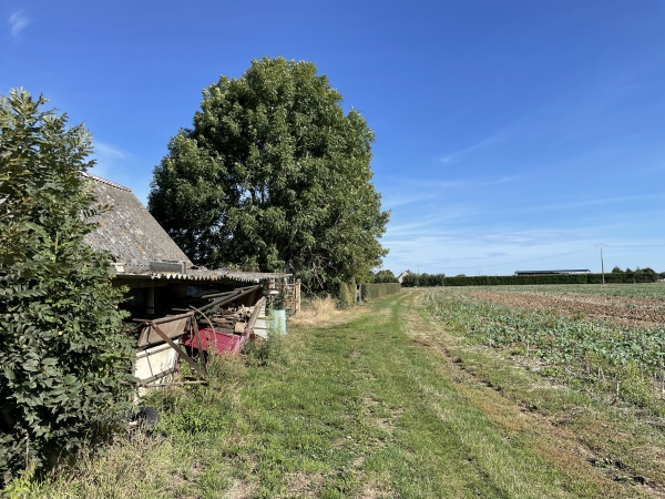 Après la ferme, et sur les trois quarts de sa longueur, le chemin est herbeux et bien entretenu.