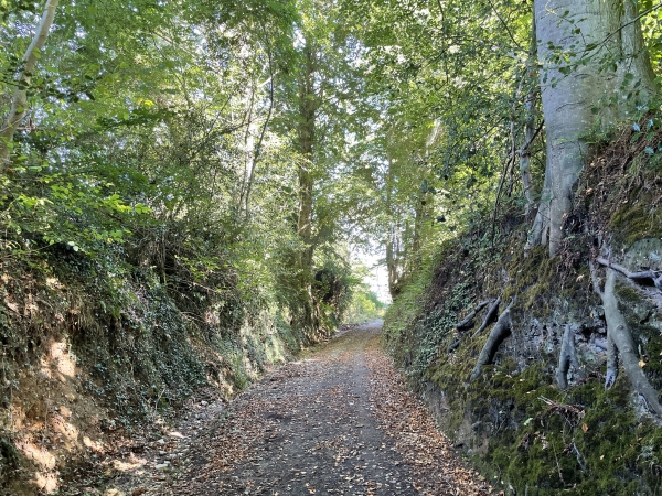 Nous avons suivi la rue des Potiers sur 60 mètres, et tournons à droite pour suivre ce chemin creux qui descend vers la vallée.