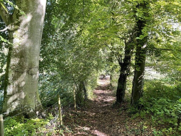 Nous quittons le chemin principal pour suivre ce sentier, dont l'entrée est plutôt discrète. (Bien suivre la trace GPS)
