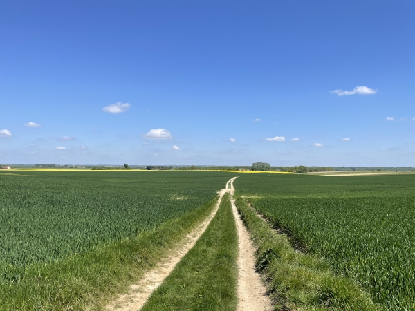 Nous partons du parking de l'école, en bordure du GR25, et le suivons vers le nord. Le GR tourne sur la rue du Pré qui devient rapidement un chemin vers Flamanville.