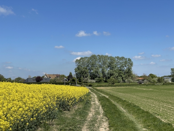 Nous arrivons à Flamanville, et allons continuer tout droit.