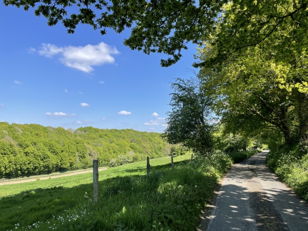La petite route de Flamanville avance au-dessus du vallon du Bois Aubry.