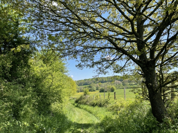 Le chemin du Grimpelet avance entre bois et prés, et nous conduit à l'entrée de Ry.