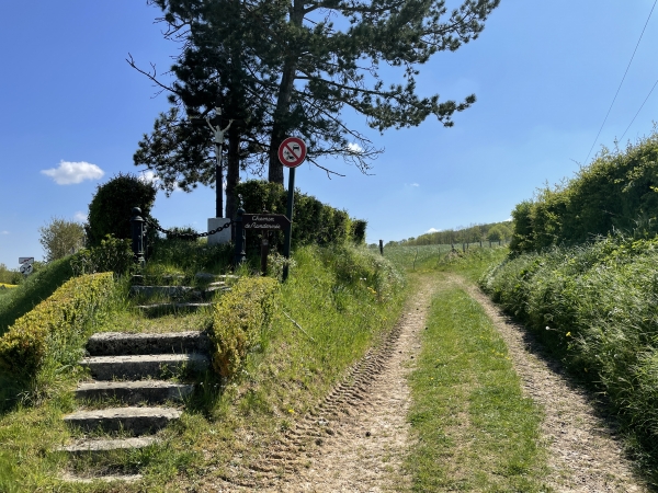 Nous traversons le bourg, puis montons le chemin du Mont Ecaché qui commence au pied de ce calvaire.