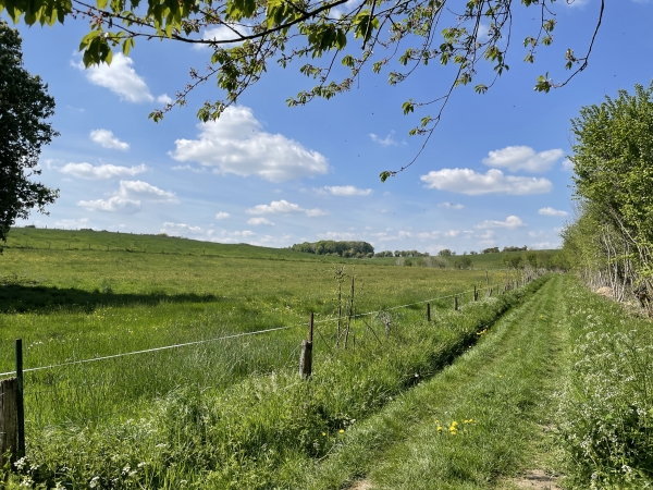 Après le chemin du Fossé, nous tournons sur le chemin du Mouchel.