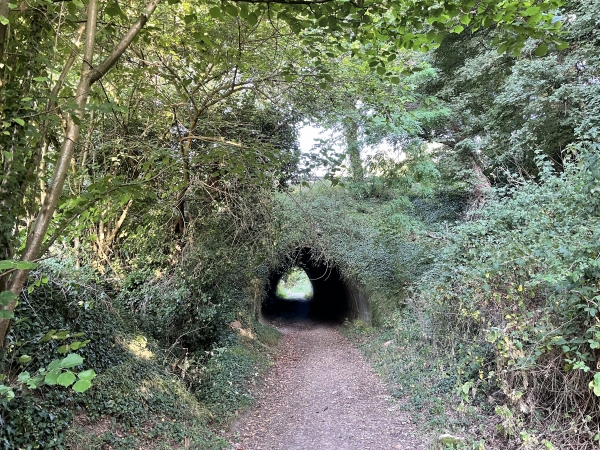 Je passe sous la D77 pour rejoindre la forêt domaniale de Bord-Louviers.