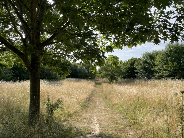 Je traverse le parc aménagé entre la forêt et la ville de Val-de-Reuil.