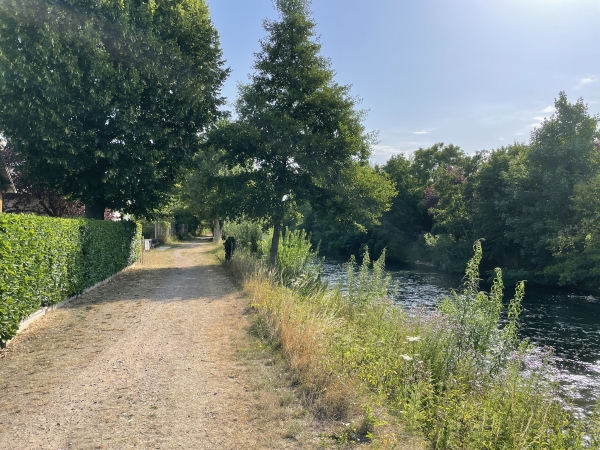 Et me voilà à nouveau sur le chemin qui longe l'Eure.