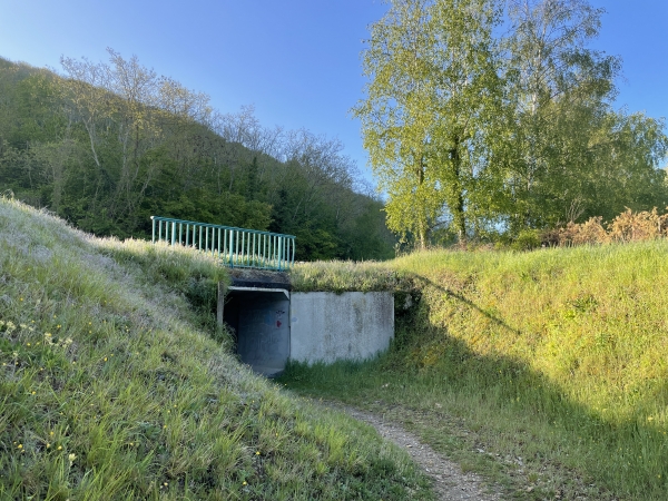 La Sente Lavelle passe sous la D313 pour rejoindre le bois des Andelys.