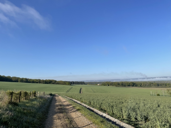 Ici, notre chemin s'écarte un peu du bois. Nous allons le quitter lorsqu'il rejoindra la pointe boisée que l'on voit en face.