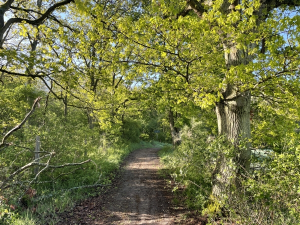 Nous tournons à droite pour quitter le chemin que nous suivions depuis Bouafles.