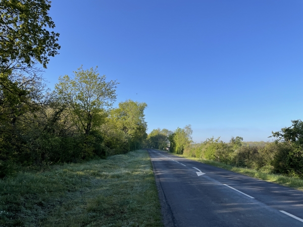 Longeons la D313 sur 700 mètres. Ce n'est pas le moment le plus agréable de la rando, mais comme on le voit, l'accotement est large et entretenu.