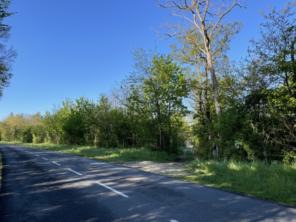 Nous quittons la D313 ici, pour rejoindre le chemin du Puchot. Le bois du Puchot qu'il traversait n'existe presque plus, il a été remplacé par des gravières. On ne voit pas les gravières depuis le chemin.