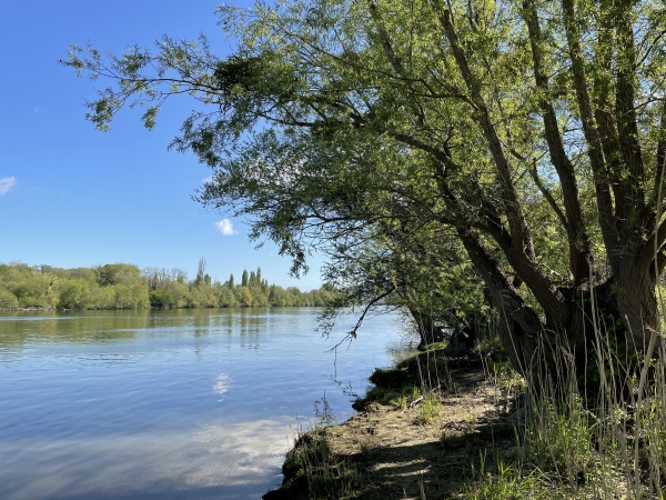 Petite pause dans ces paysages de bord de Seine.