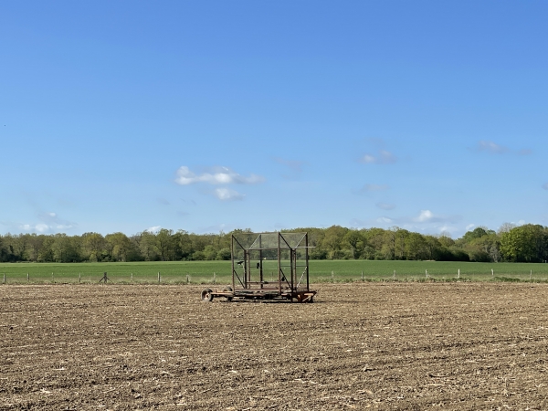 Cage à corvidés dans un champ. Ici ce sont les corneilles noires qui sont visées par le piège. Le piège fonctionne avec un appelant vivant qui attire ses congénères. Le dispositif est autorisé, avec agrément, déclaration en mairie, visites quotidiennes...