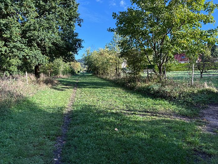 A Fontaine-Heudebourg, l'ancienne voie ferrée reste aménagé en chemin herbeux. Là non plus, la folie du goudron n'a pas frappé.&nbsp;